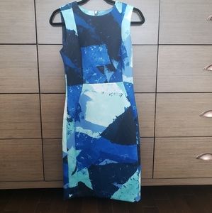 Calvin Klein Fitted Dress